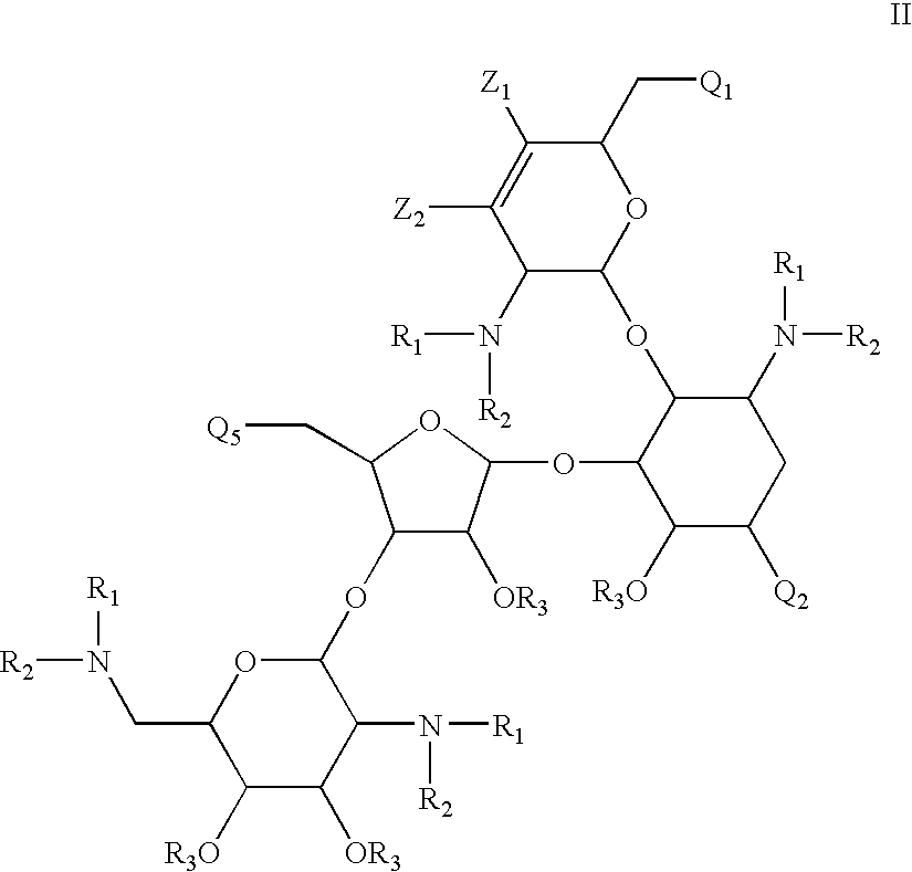 Antibacterial 1,4,5-substituted aminoglycoside analogs