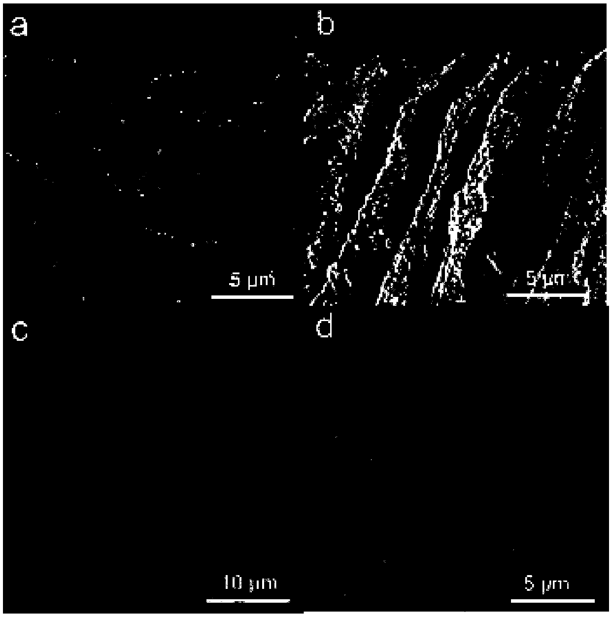 Tooth desensitizer penetrating into closed canaliculi dentales and preventing biomembrane from formation
