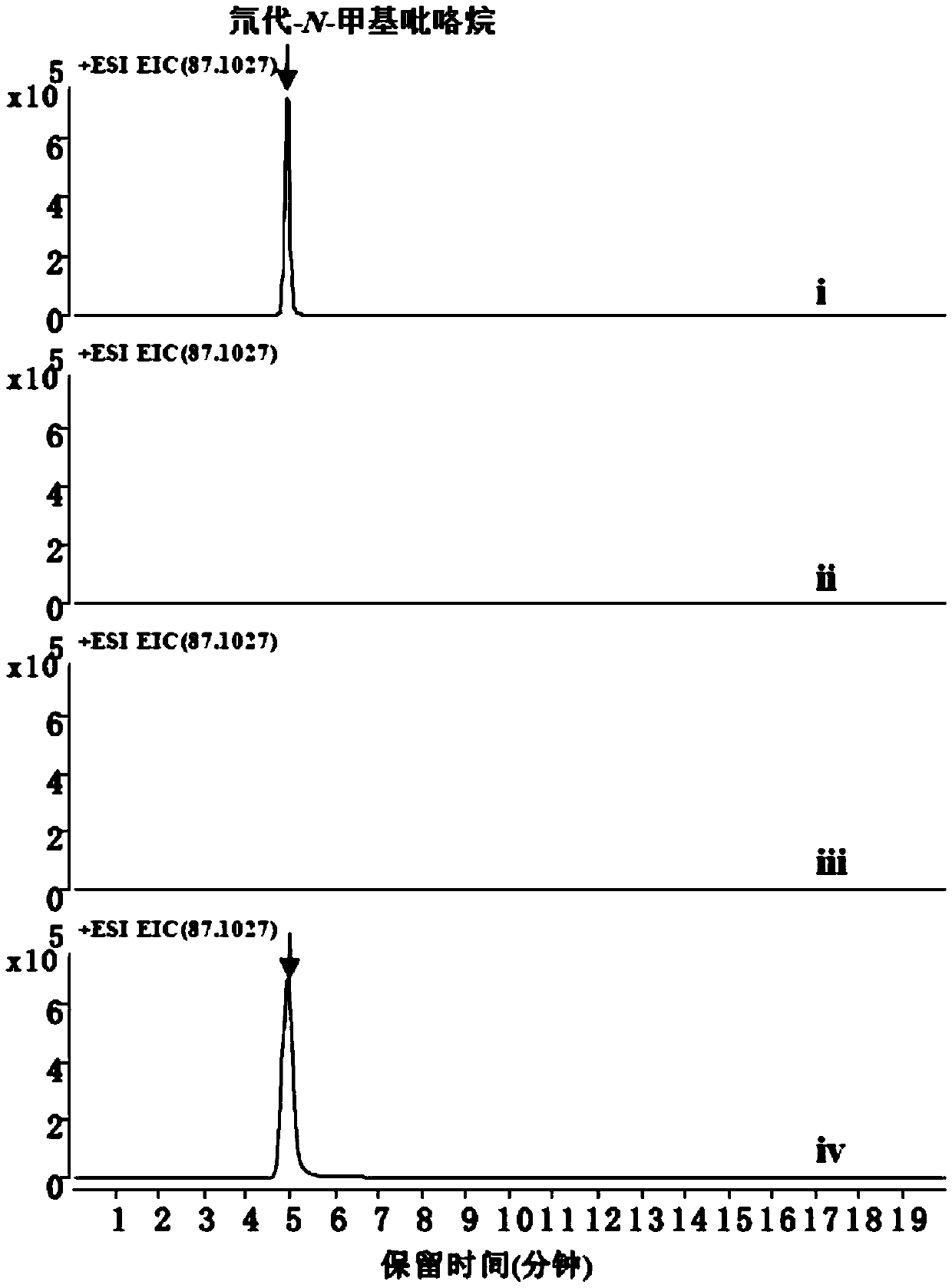 Method for preparing N-methyl pyrroline