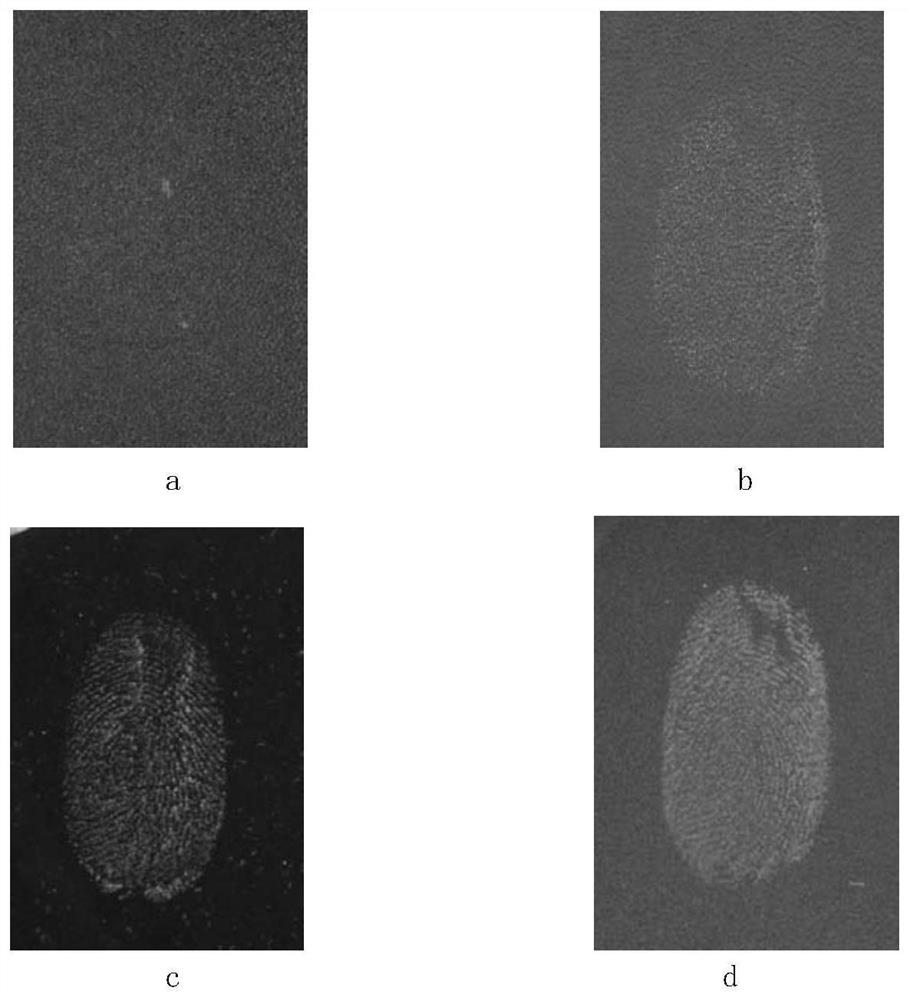 A method for showing traces of occult blood and its special reagent