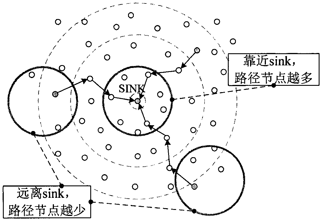 Dynamic self-adaptive compressed sensing data collection method for network topology structure