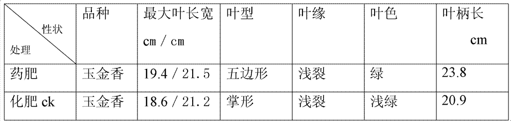 Organic vegetable insecticide-fertilizer and preparation method thereof