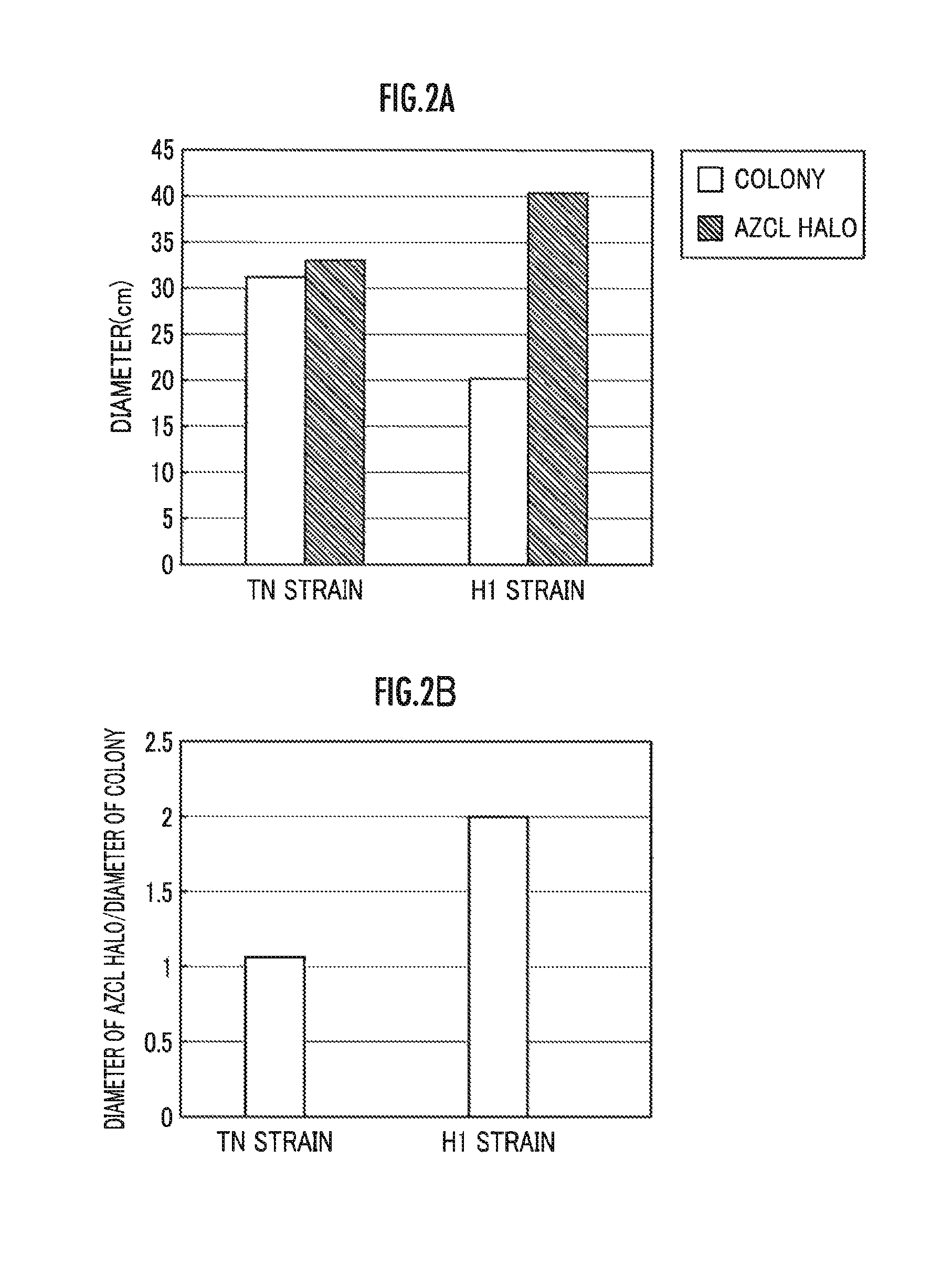 Saccharifying enzyme composition and method for producing saccharified solution using the same