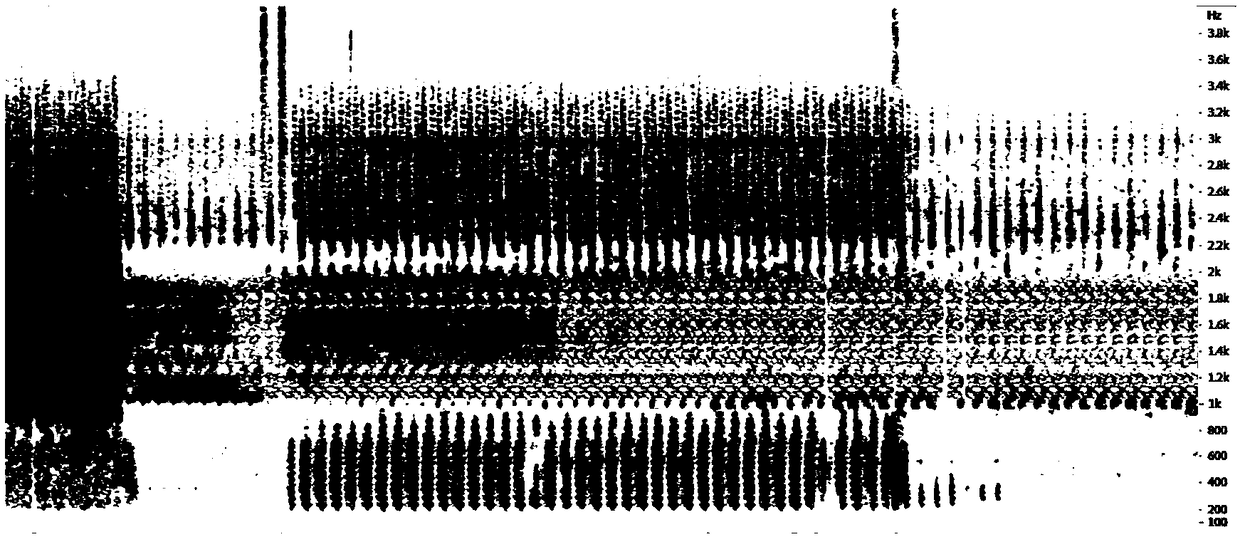 Method for penetrating vocoder