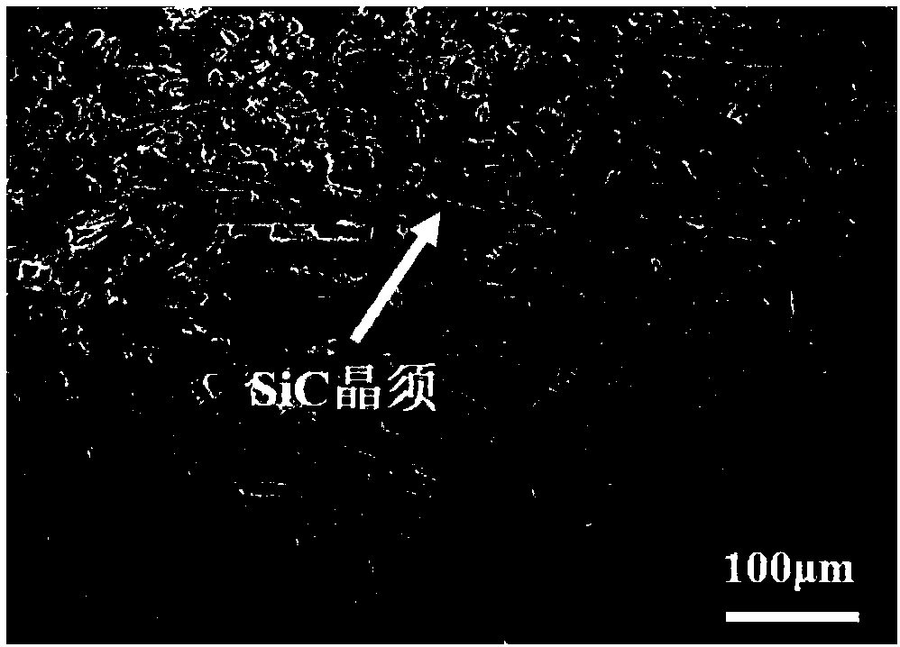 Ceramic material SiC whisker suitable for stereolithography, and preparation method thereof