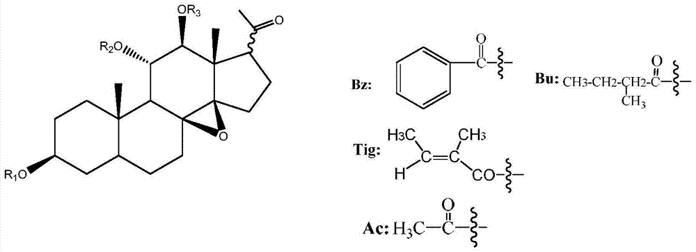 Clear the rattan in c  <sub>21</sub> Steroid compounds and their preparation methods and applications