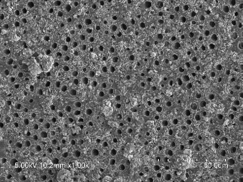 Anhydrous toothpaste for repairing demineralized tooth enamel and dentin and preparation method thereof