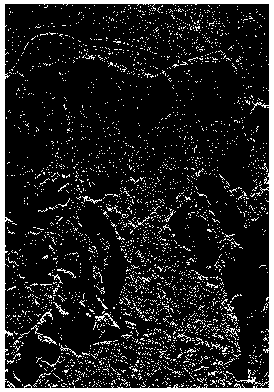 SAR image classification method based on curve wave deep ladder network model