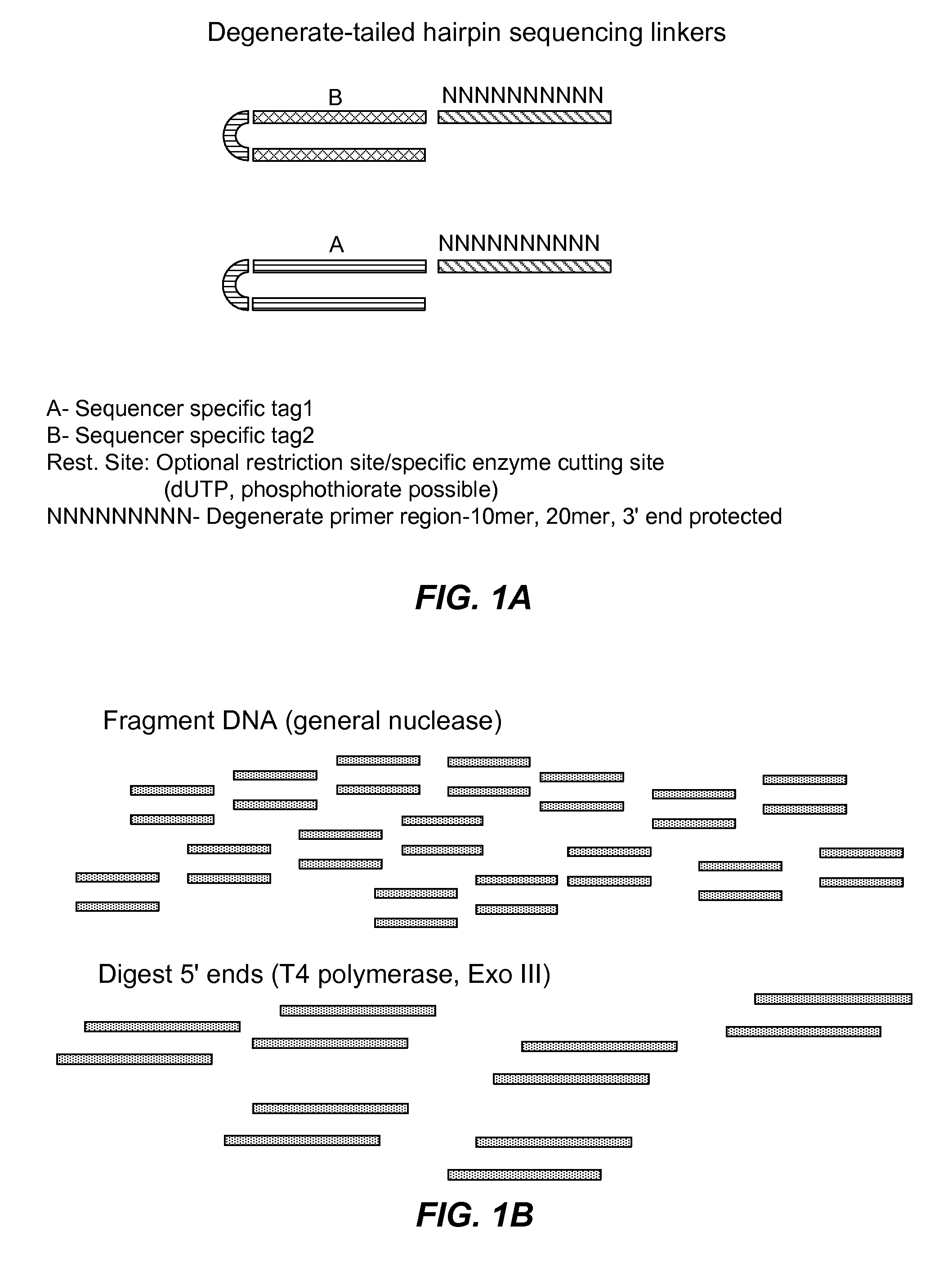 Nucleic acid encoding reactions