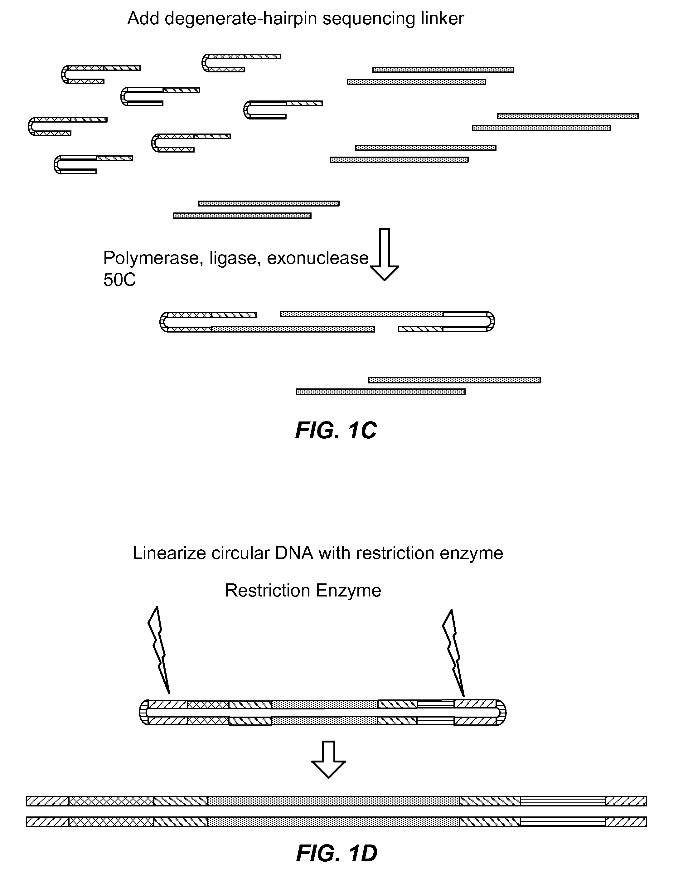 Nucleic acid encoding reactions