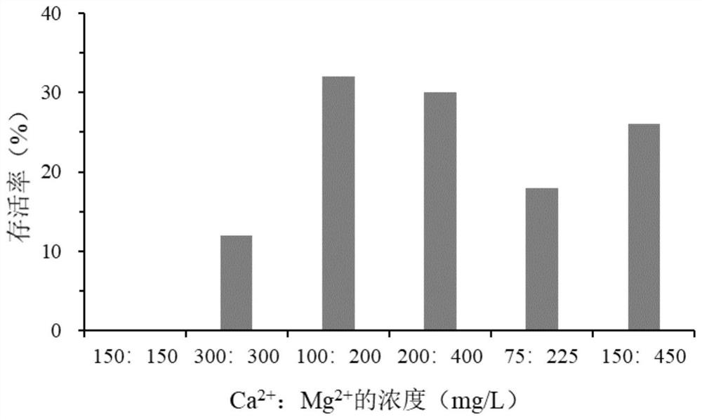 Ion regulation and control method for breeding blue crabs in inland saline-alkali soil