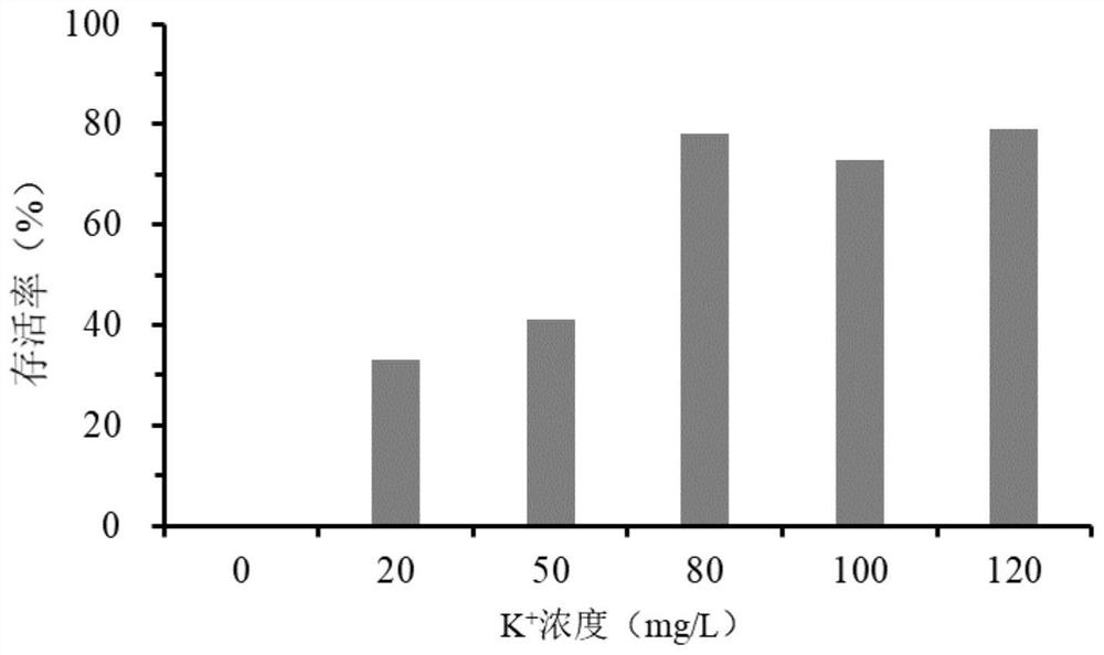 Ion regulation and control method for breeding blue crabs in inland saline-alkali soil