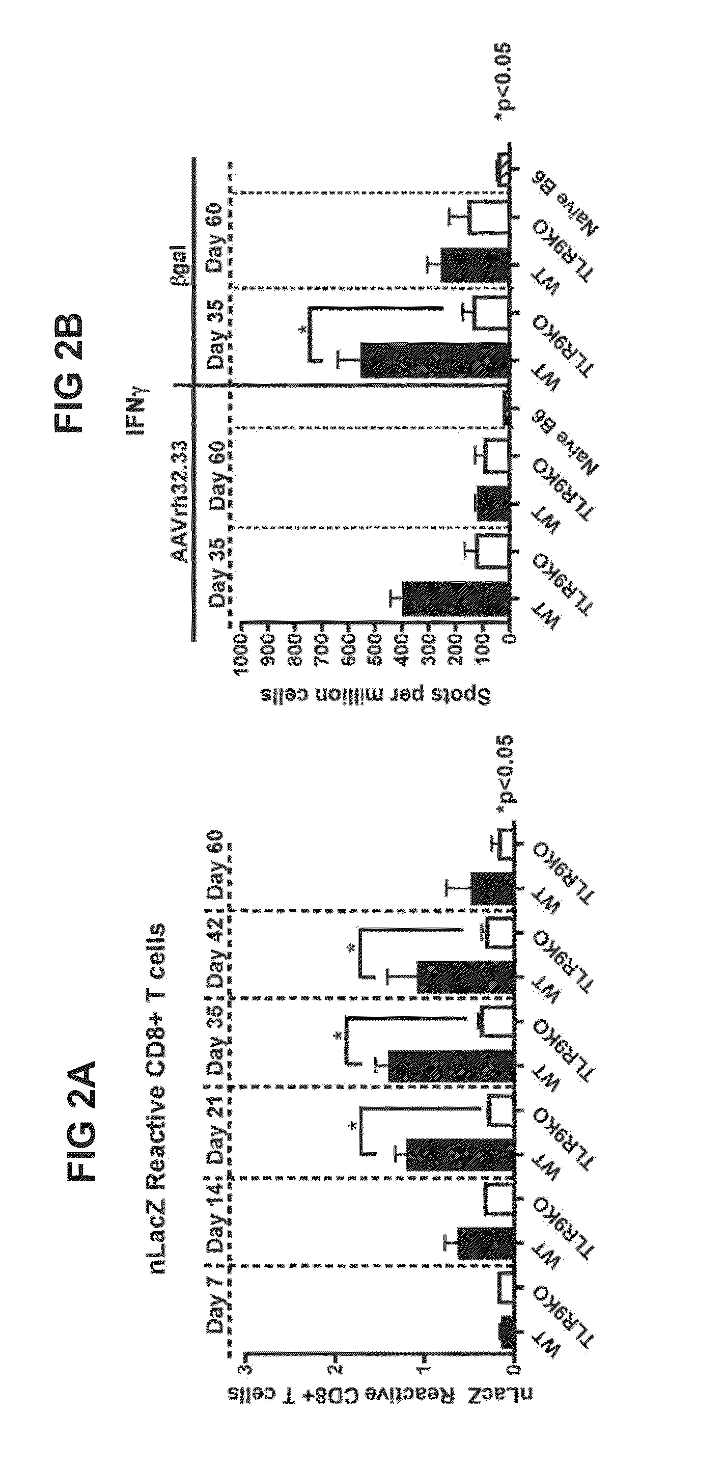 Constructs and Methods for Delivering Molecules via Viral Vectors with Blunted Innate Immune Responses
