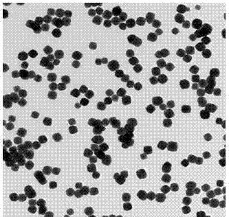 Preparation method and application of nano cubic upconversion luminescent material