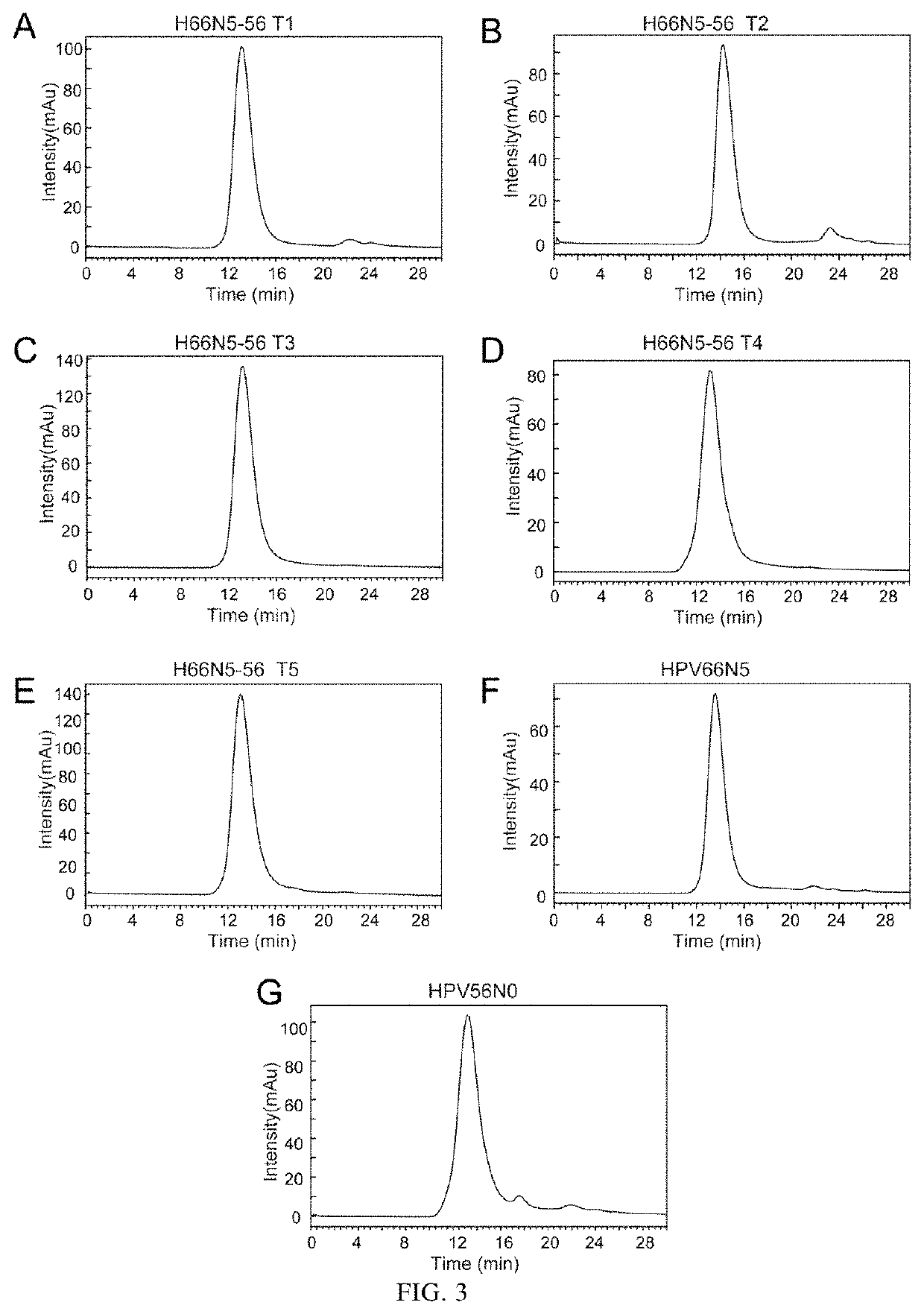 Mutant of L1 protein of human papillomavirus type 66