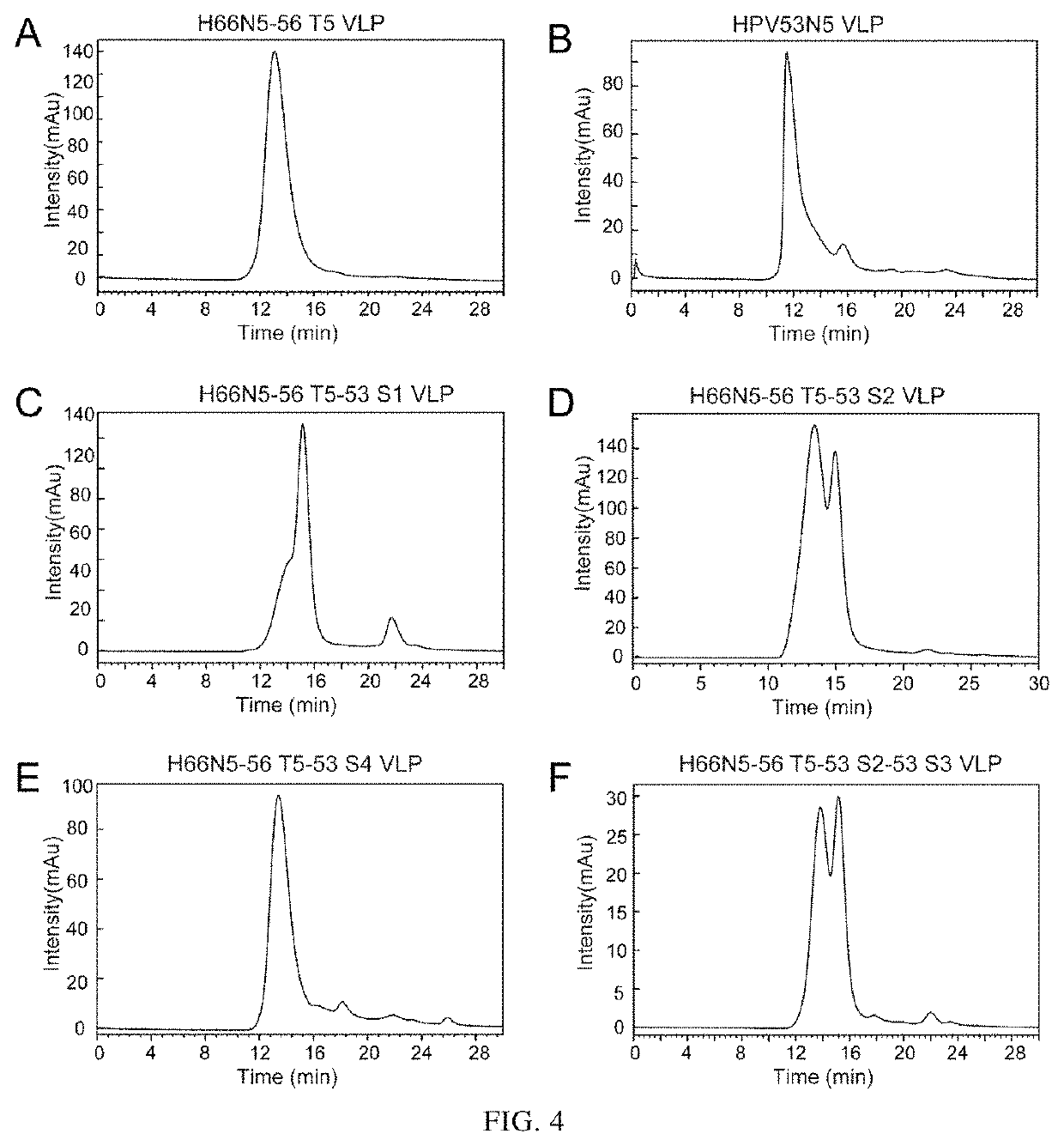 Mutant of L1 protein of human papillomavirus type 66