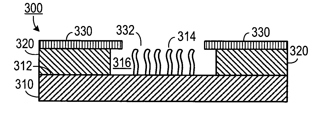 Carbide nanostructures and methods for making same