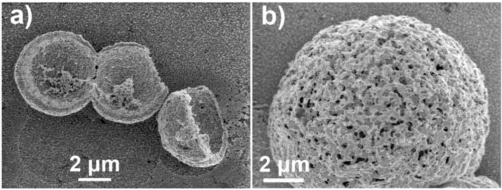 Hemispherical-shell-shaped porous gold micro-nano structure and preparation method and functions thereof