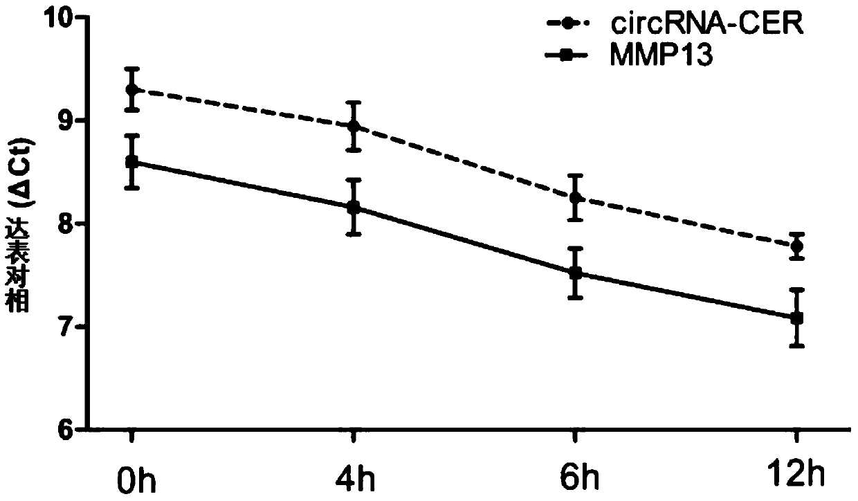 A kind of inhibitor of circRNA-cer gene and application thereof