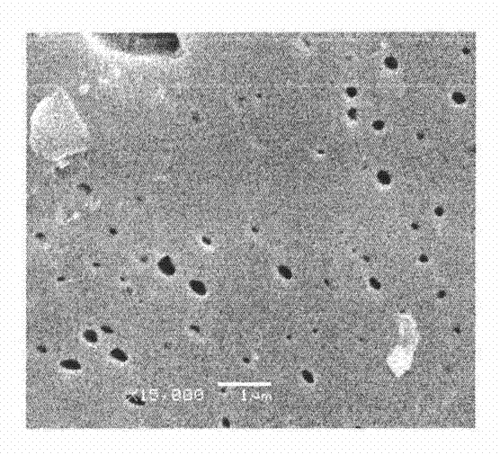 Moisture-absorbing antistatic dyeable polypropylene fibre and preparation method thereof