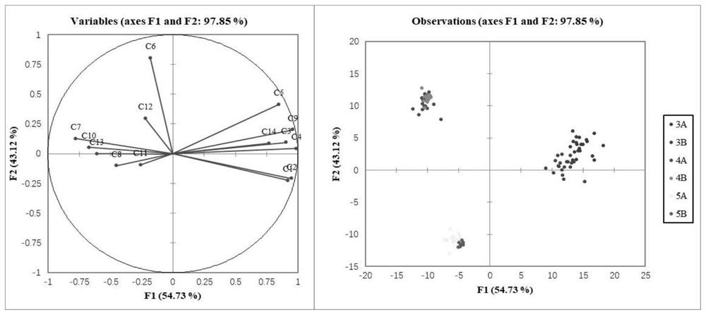 Method for discriminating aftertaste of Maotai-flavor liquor based on non-volatile organic acid