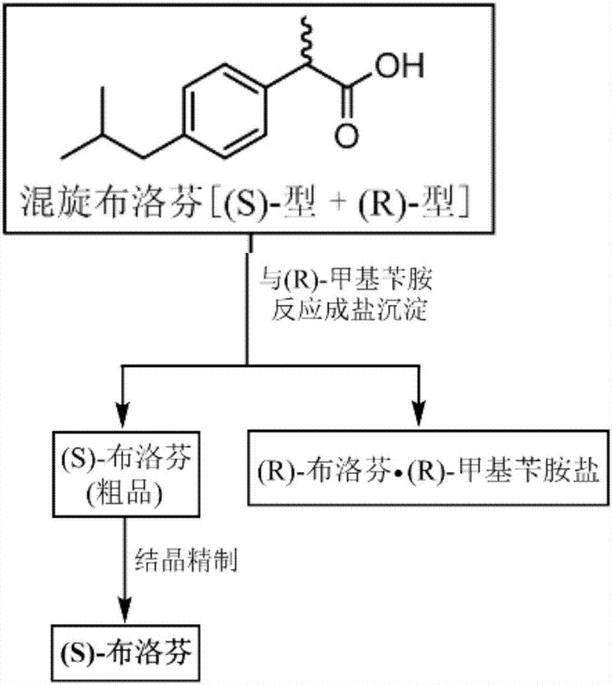 Ibuprofen splitting technology and purifying method based on splitting technology