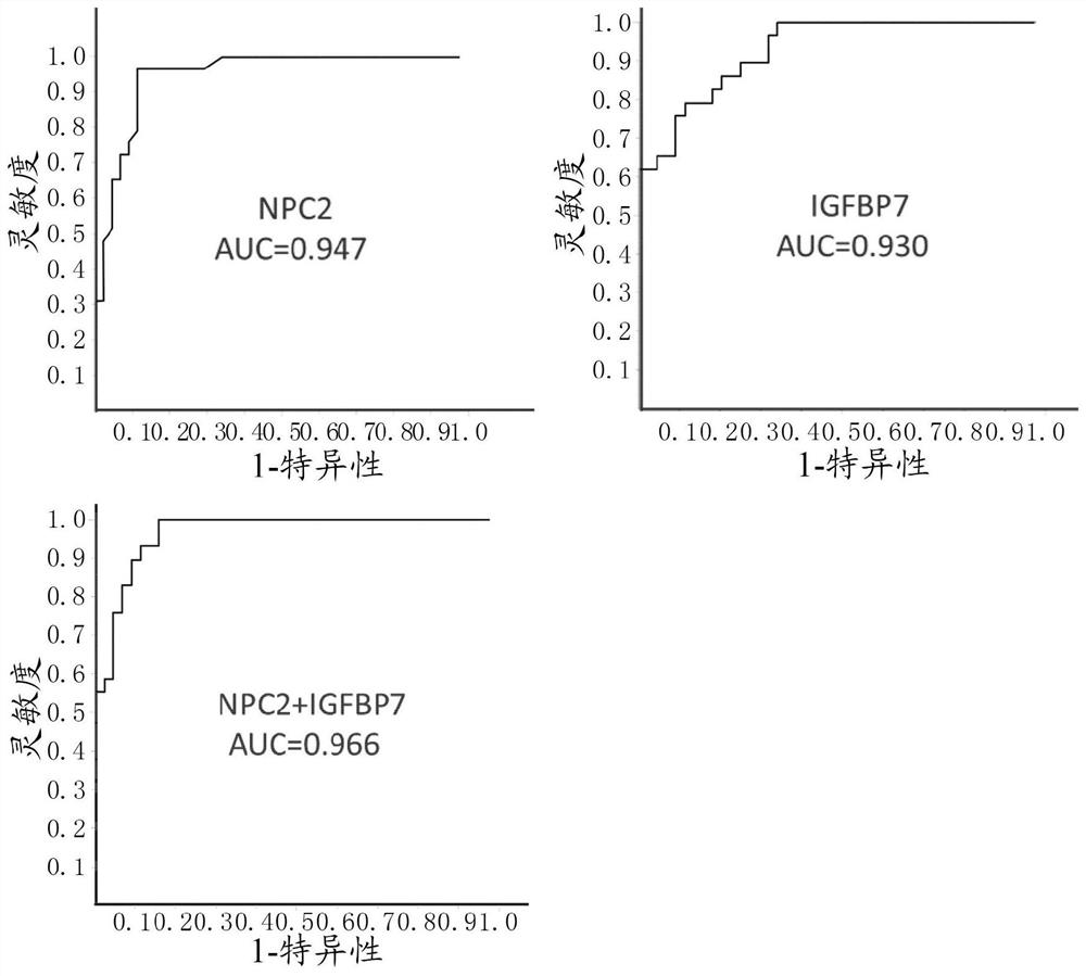 Novel aortic aneurysm marker