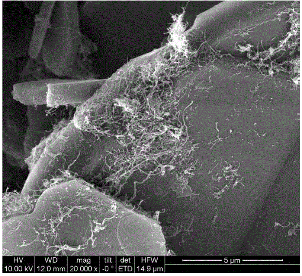 Nanometer carbon-coated boron nitride composite powder and its preparation method and use