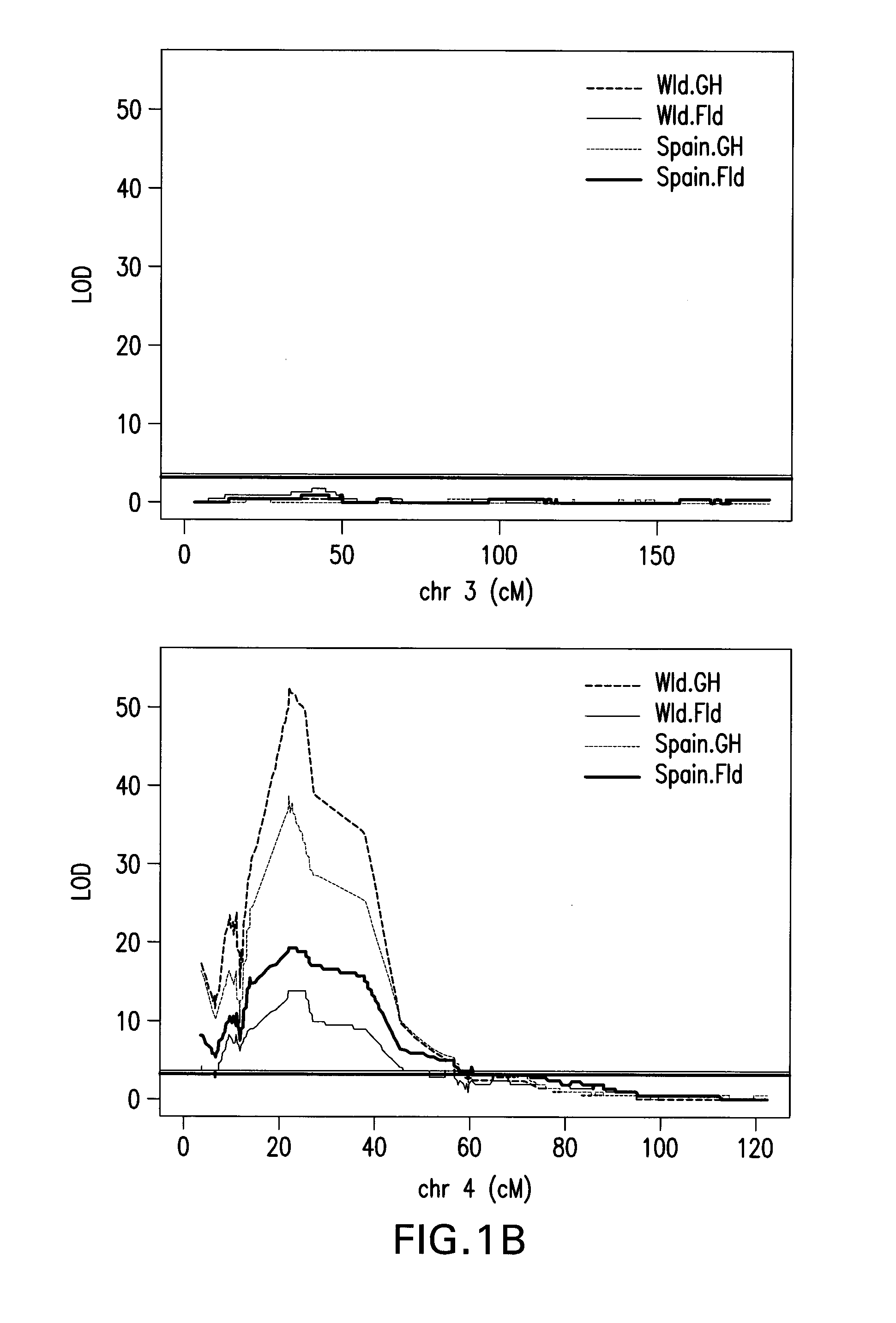 Methods and compositions for producing capsicum plants with powdery mildew resistance