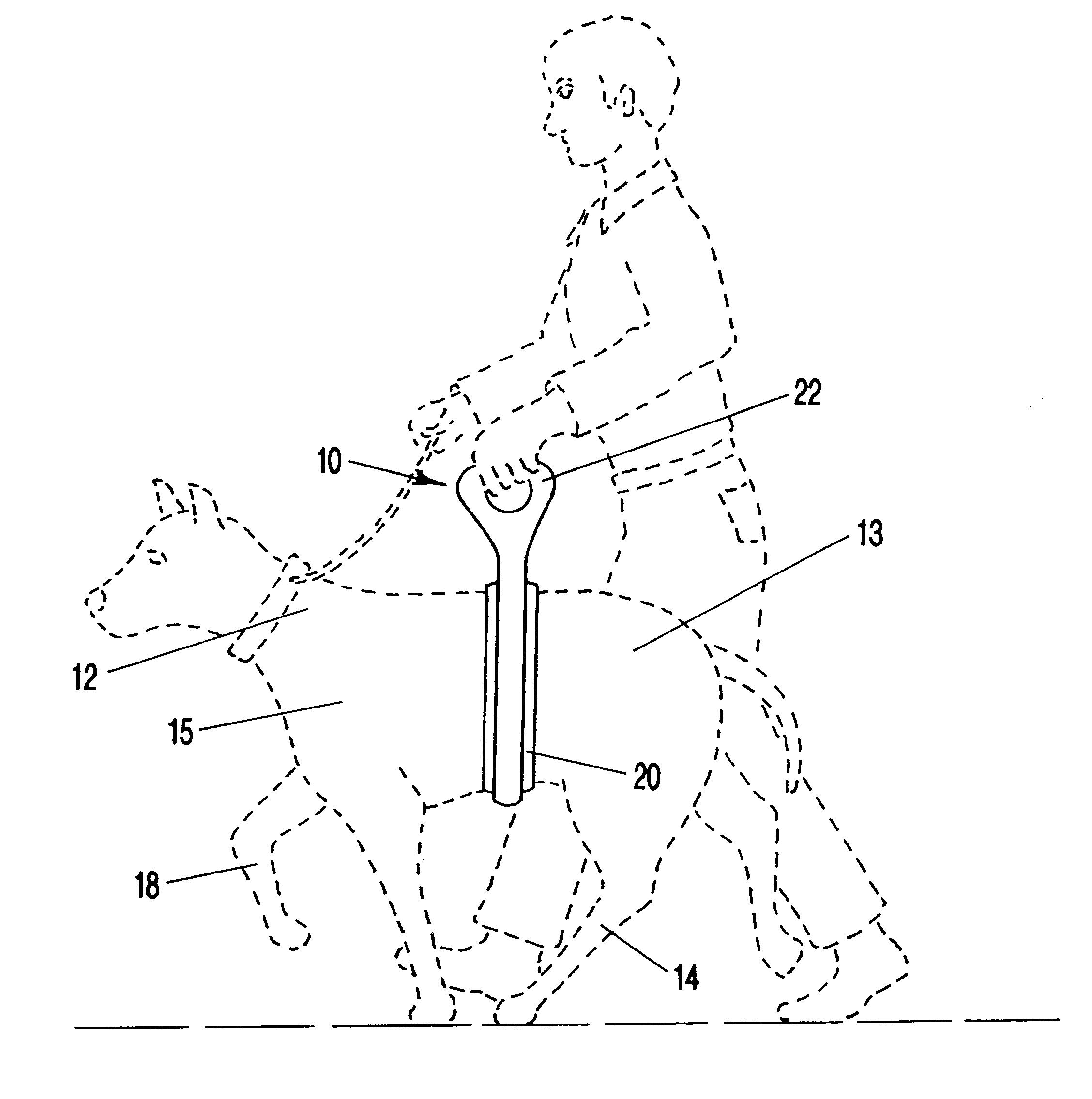 Apparatus for lifting and assisting convalescent pets