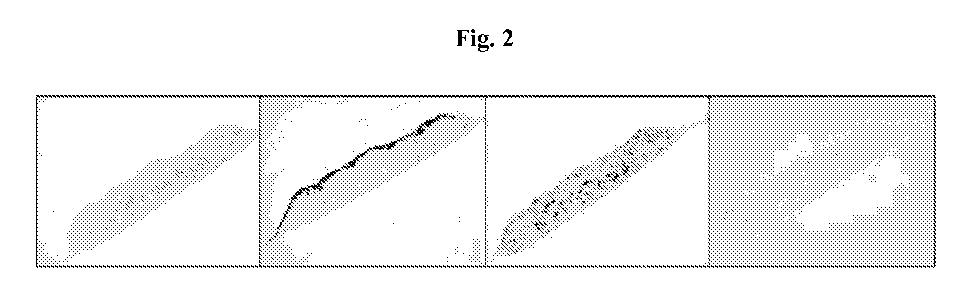 Platform for engineered implantable tissues and organs and methods of making the same