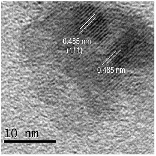 A water-soluble biocompatible fluorescent magnetic nanocluster and its preparation method