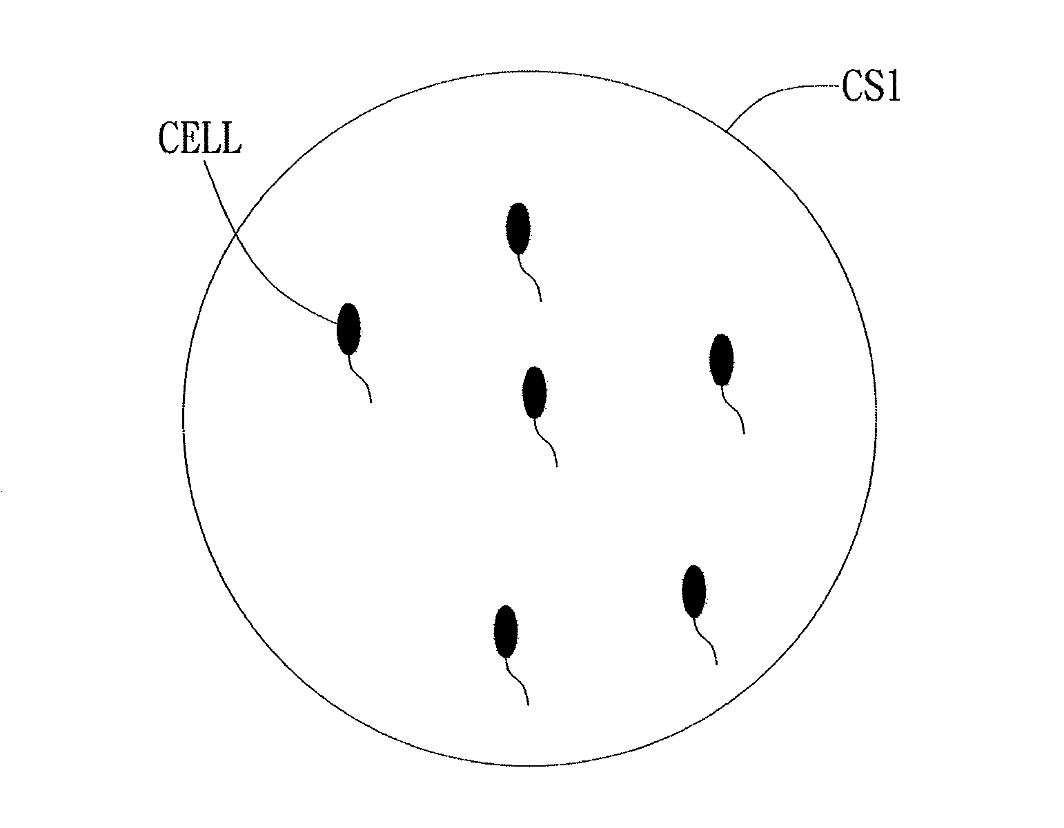 Cell Mobility Characteristics Sensing Apparatus and Operating Method Thereof