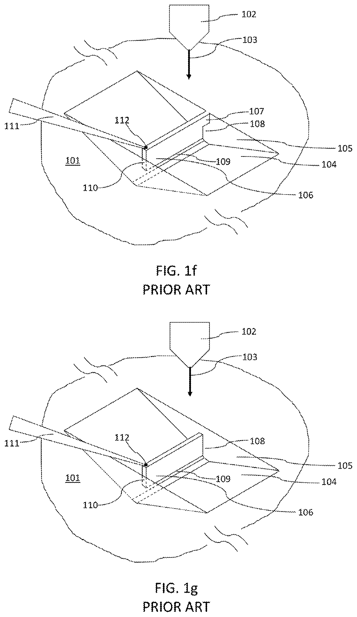 Method of producing lift out specimens for teaching, practice, and training