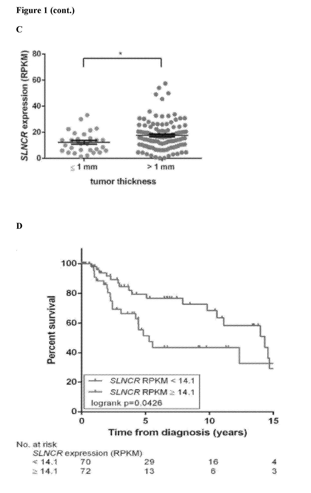 Compositions and methods for identification, assessment, prevention, and treatment of cancer using slncr isoforms