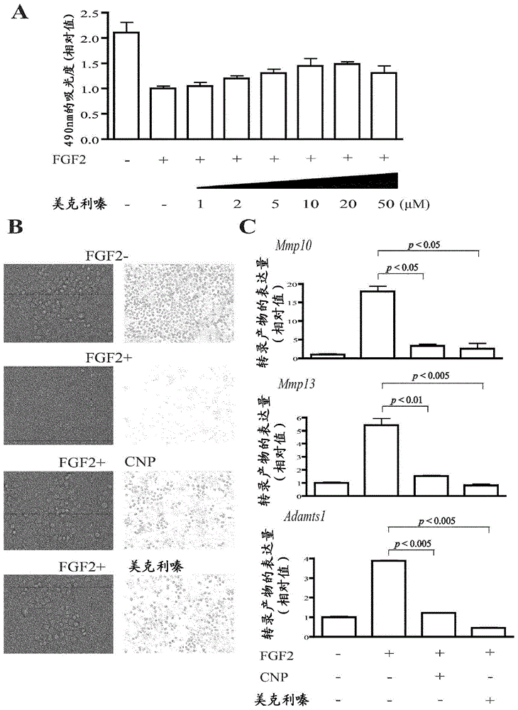 Therapeutic agent for systemic bone disease and use thereof