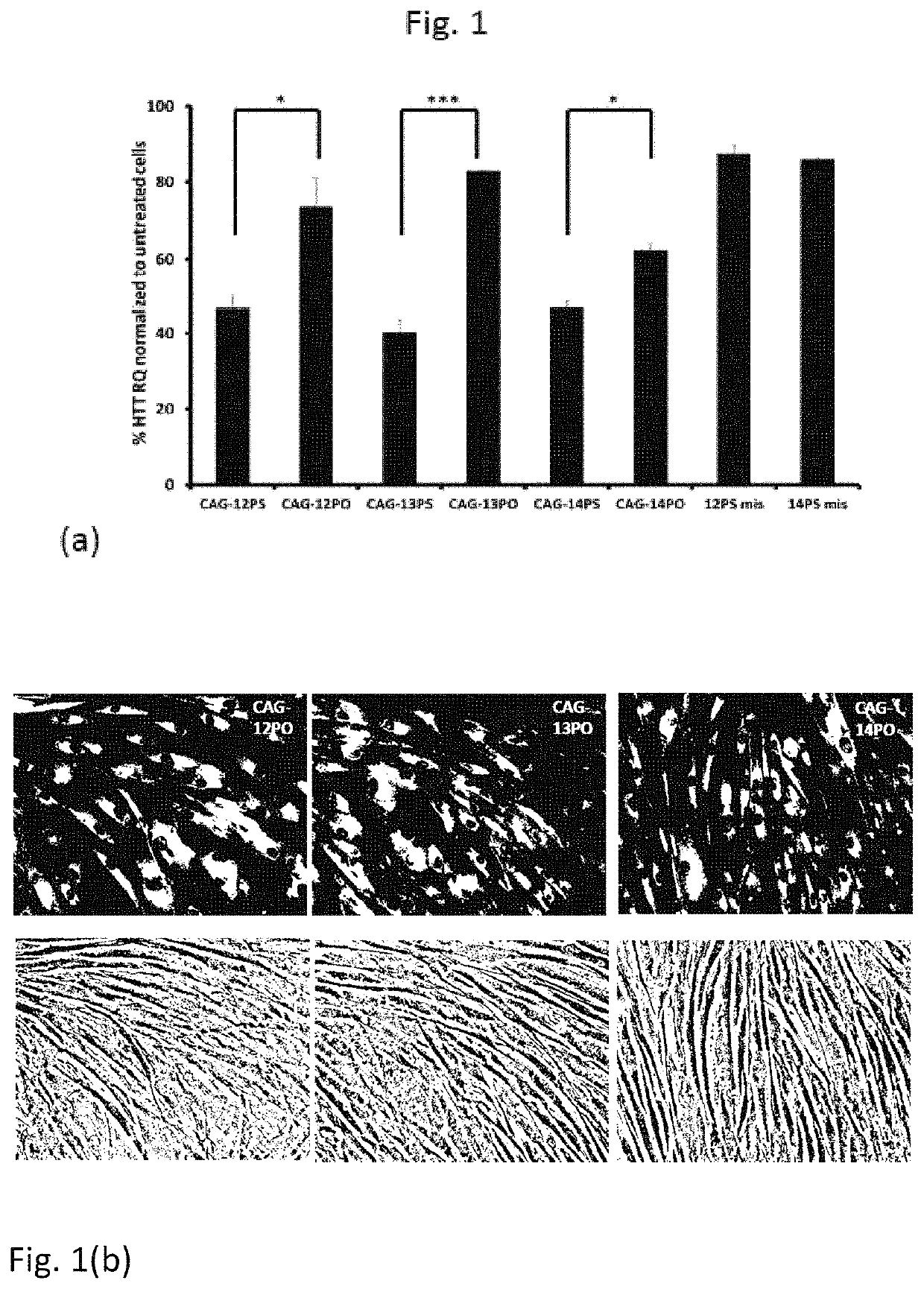 Therapeutic method for huntington's disease