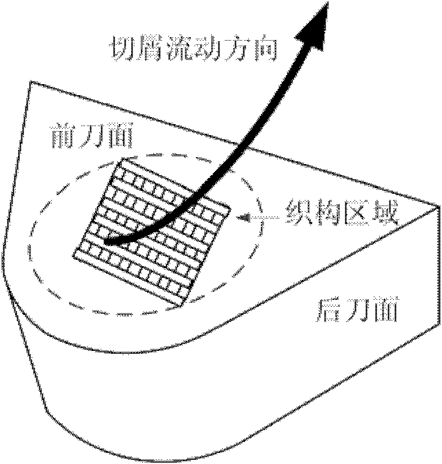 Method for preparing micro-nano composite texturing cutting tool by using femtosecond laser
