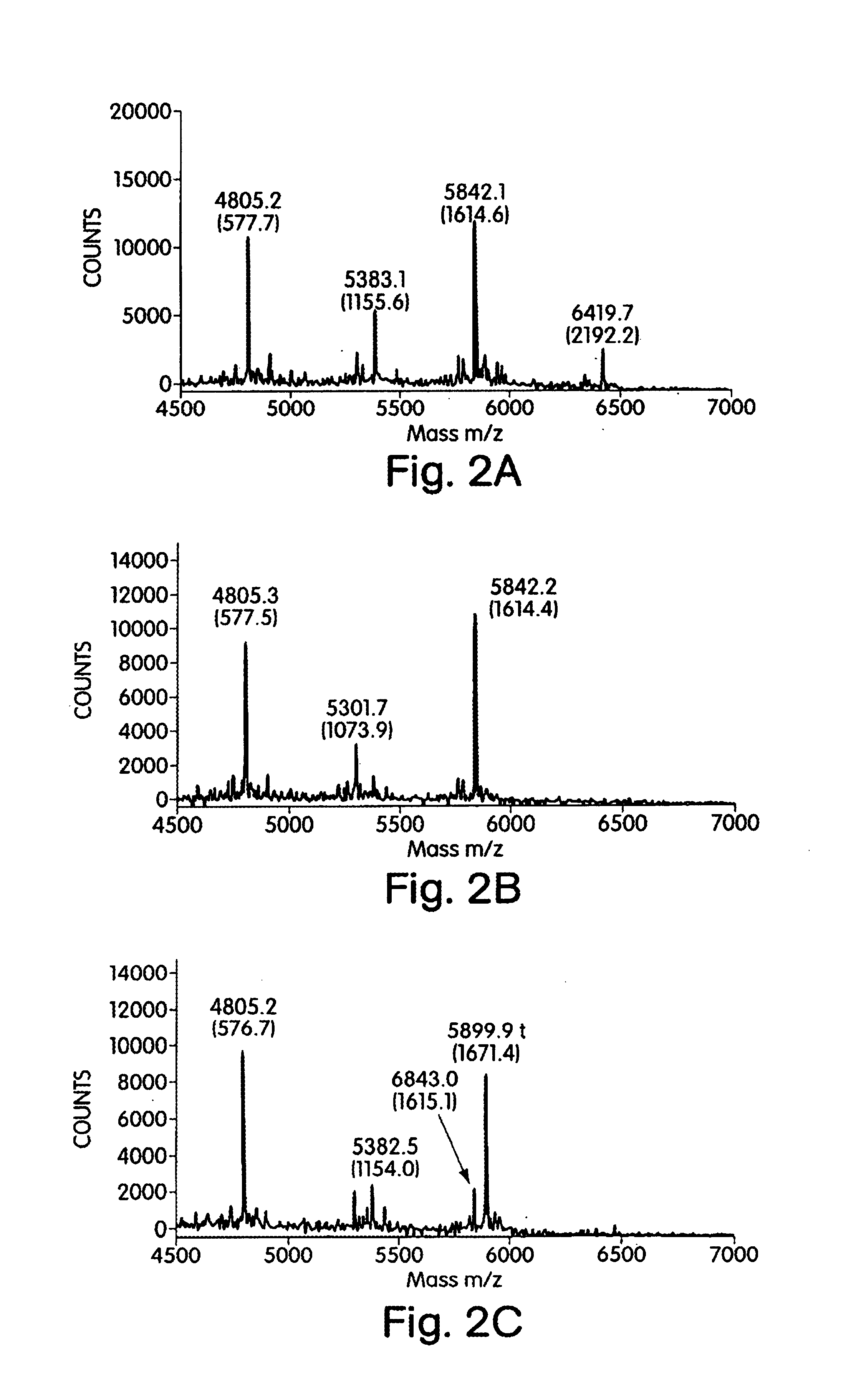 Methods and products related to the analysis of polysaccarides