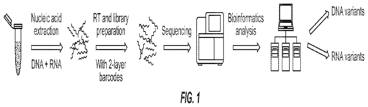 Systems and methods for combined detection of genetic alterations