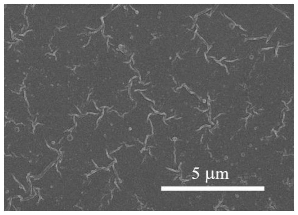 Preparation method of nanofiltration membrane based on polyamidoxime as boundary layer
