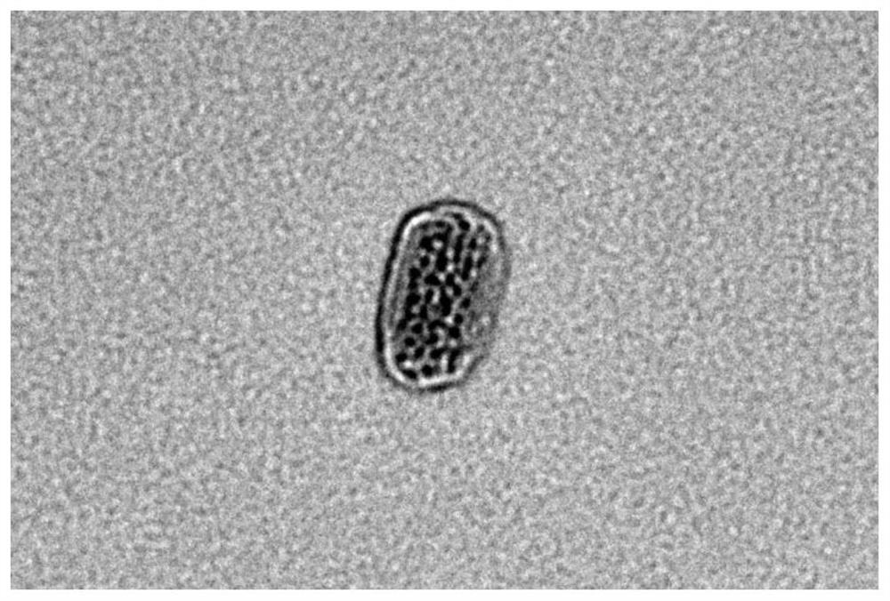 A method for modifying phase inversion of solid particles and stabilizing pickering inverse miniemulsion