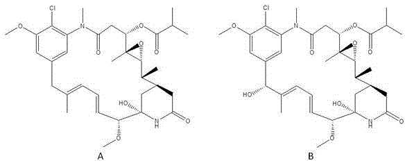 Nocardiopsis for producing ansamycin P-3 and 15-hydroxyl derivatives as well as preparation method and application of nocardiopsis