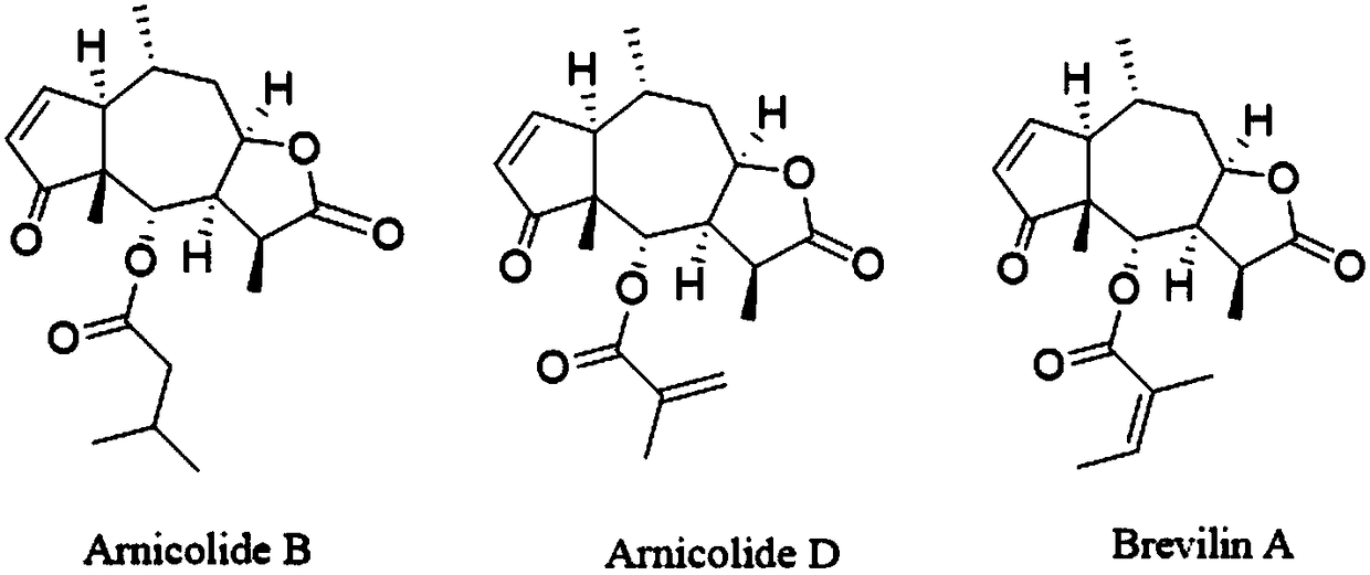 Application of sesquiterpene lactone compound in centipeda minima in preparation of drug having antiviral effect