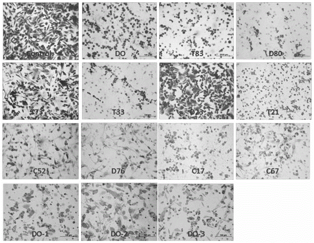 Phenylacetic acid derivatives and their antitumor applications