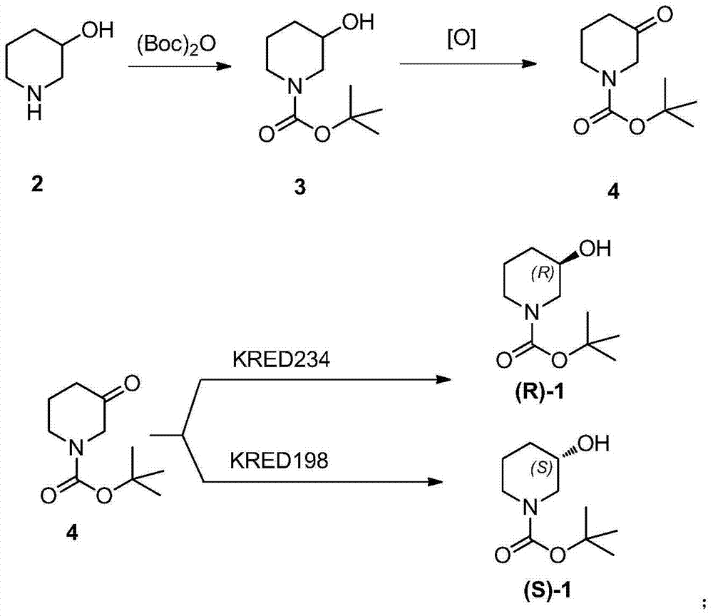 Method for preparing chiral N-tert-butyloxycarboryl-3-hydroxypiperidine