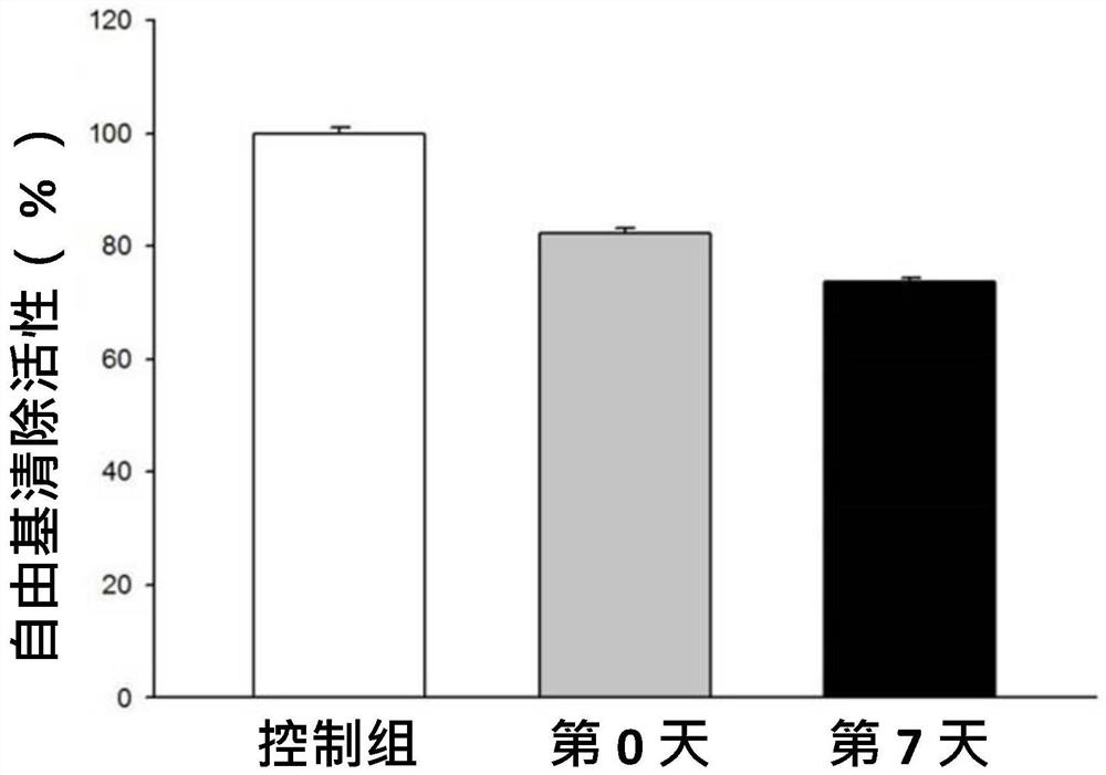 Cymbidium ssp. bud embryo composite microcrystalline capsule composition, preparation method thereof, and application of Cymbidium ssp. bud embryo composite microcrystalline capsule composition in promotion of cell detoxification, energy activation and aging resistance