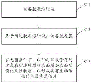 Preparation method of cornea repair graft with biological activity and cornea repair graft