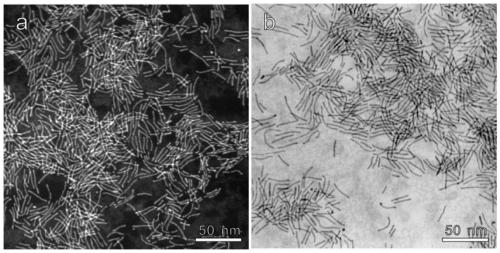 Multi-metal one-dimensional nano material, preparation method and catalyst