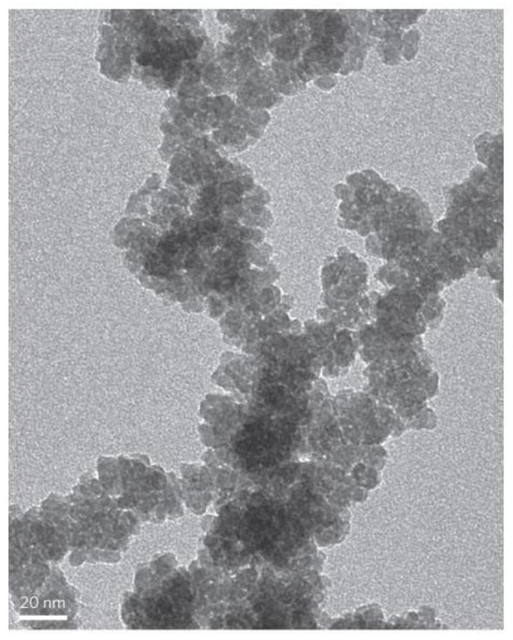 A kind of cobaltous oxide flakes, its preparation method and its application in visible light catalyzed total splitting of water